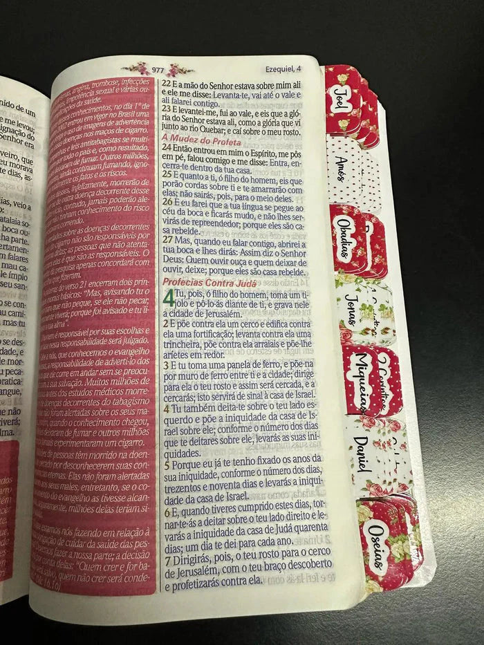 Bíblia Da Mulher Sábia - ESTUDO