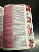 Bíblia Da Mulher Sábia Rosa - Com abas